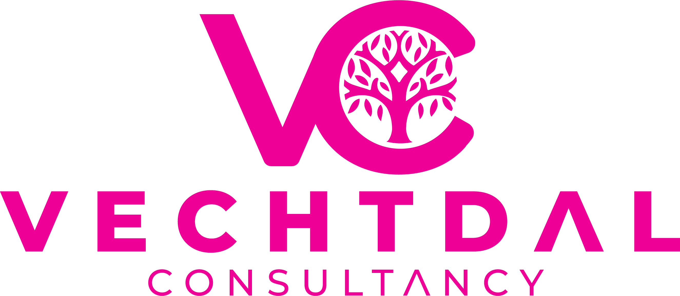 Vechtdal Consultancy